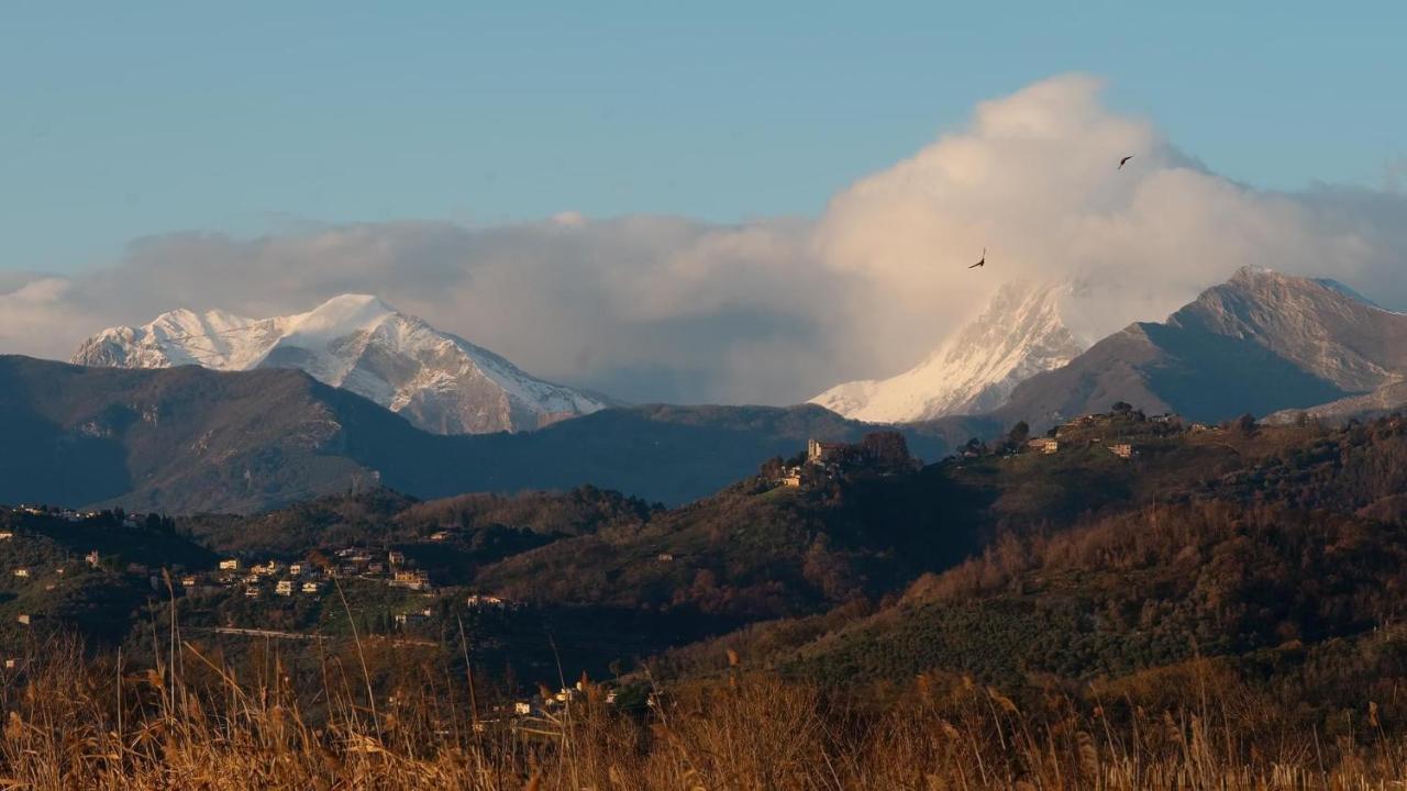 Massaciuccoli Romana エクステリア 写真