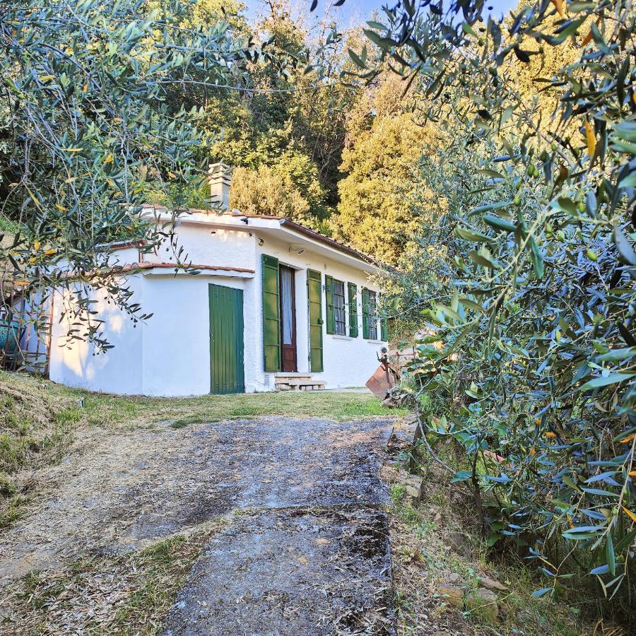 Massaciuccoli Romana エクステリア 写真