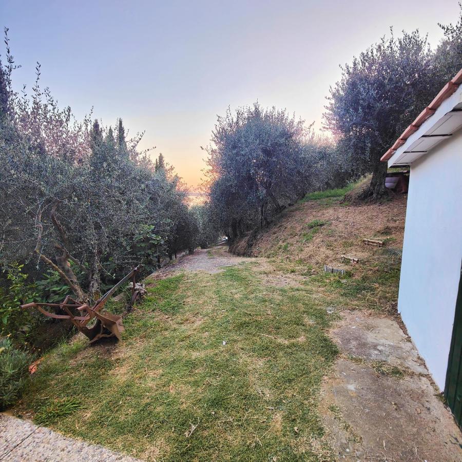 Massaciuccoli Romana エクステリア 写真