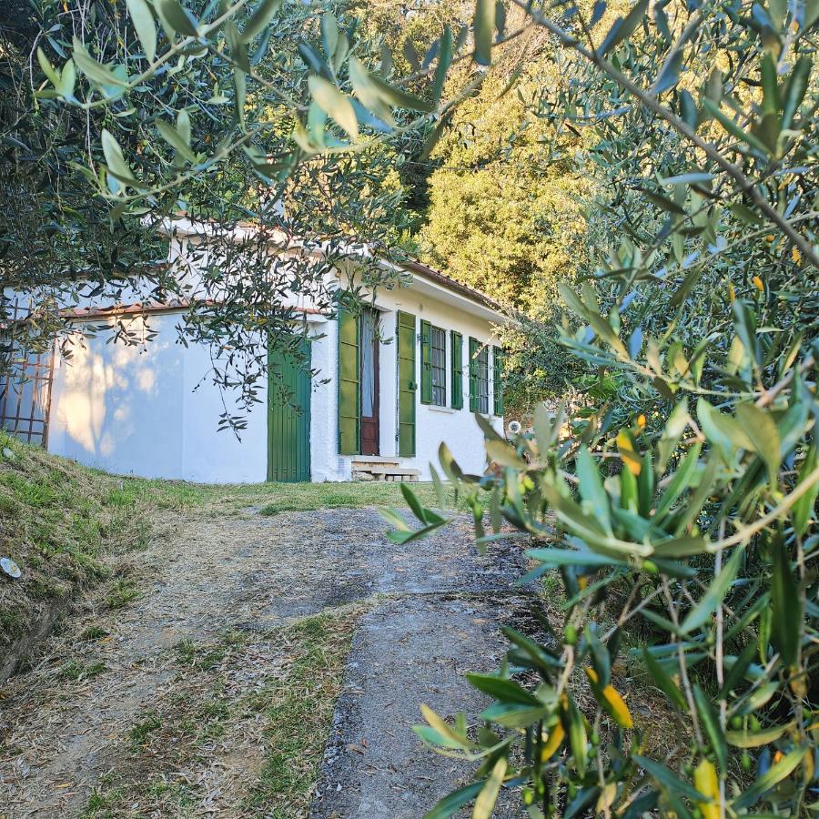 Massaciuccoli Romana エクステリア 写真