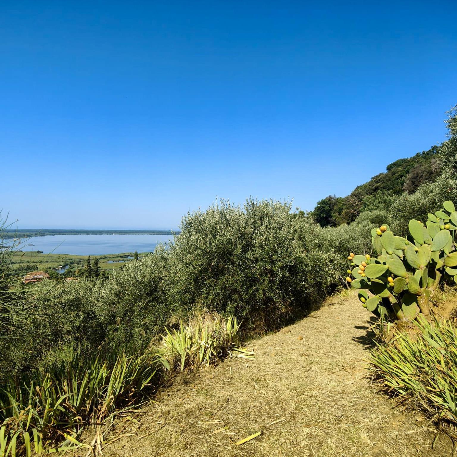 Massaciuccoli Romana エクステリア 写真